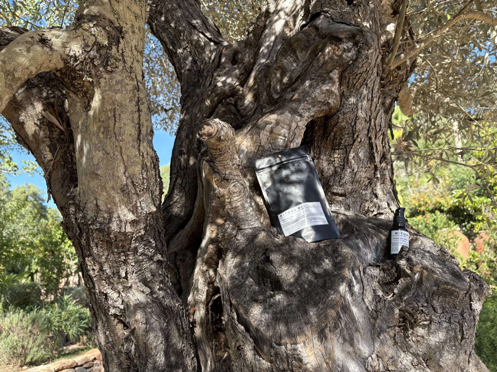 Ritual Oil (with Ormus Frankincense & Myhhr) - Image 4